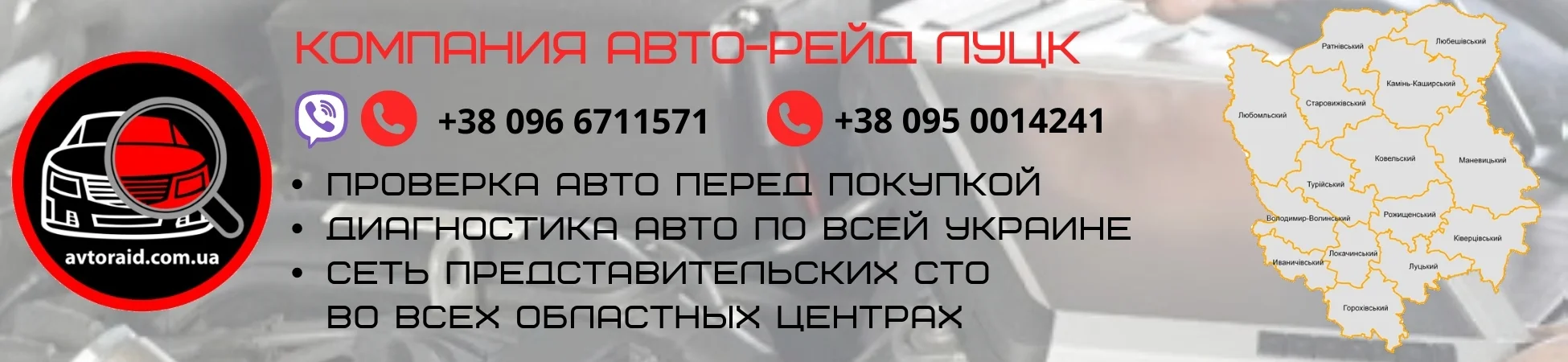 Проверка авто в Луцке